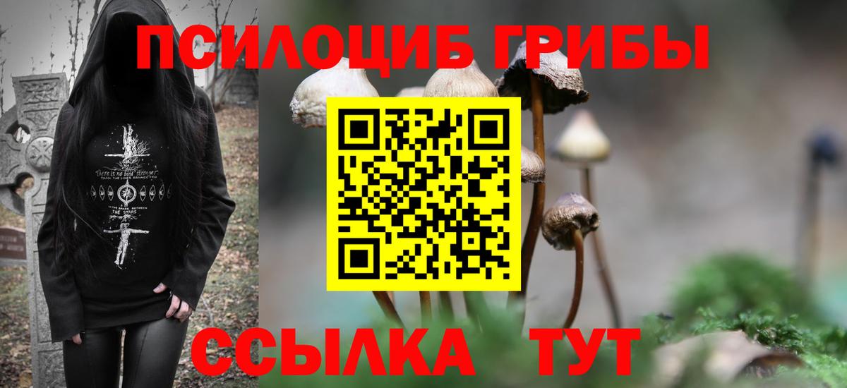Галлюциногенные грибы мухоморы  Берёзовский  где продают наркотики  Псилоцибиновые грибы GOLDEN TEACHER 